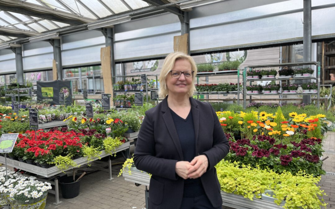 Blühende Aussichten für Beet und Balkon – so kommt der Frühling ins Zuhause