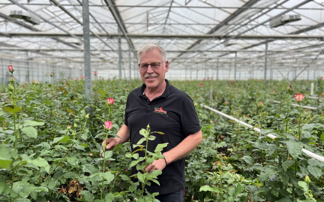 Im Reich der Rosen