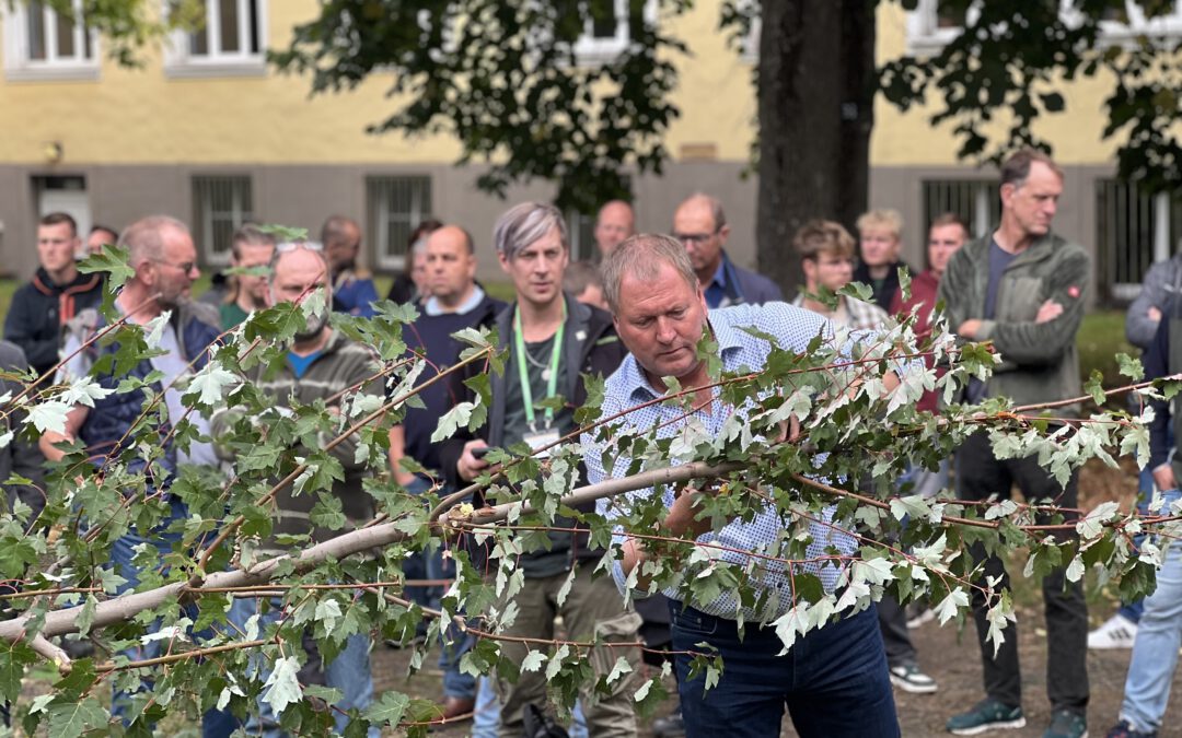 Von der Baumschule in die Stadt – Baumsymposium gibt praxisnahe Lösungen für Stadtgrün und Klimaanpassung