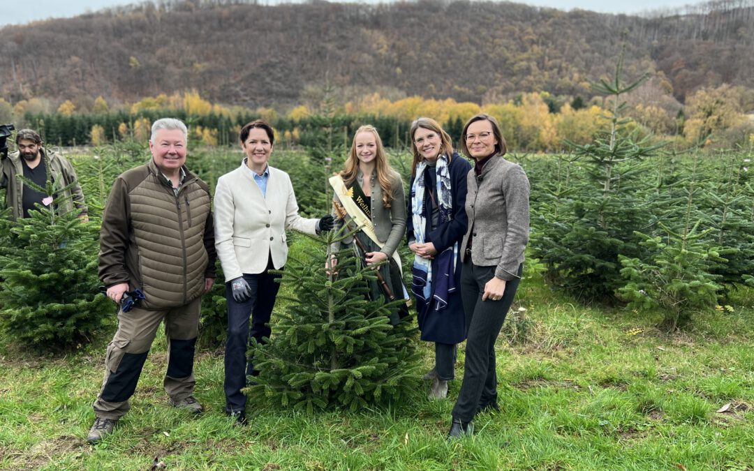 Ministerin Gorißen und Deutsche Weihnachtsbaumkönigin eröffnen Weihnachtsbaumsaison in Nordrhein-Westfalen