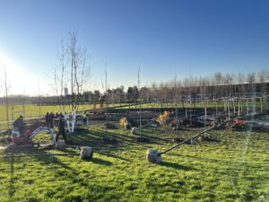 Die ersten Bäume stehen: Der Baumschulverband NRW setzt im Rheinpark auf Zukunftsbäume, die Hitze, Trockenheit und zeitweiliger Nässe standhalten