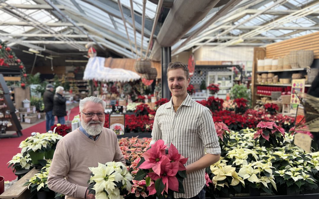 FloraWelt: Weihnachtsfreude aus Gärtnerhand