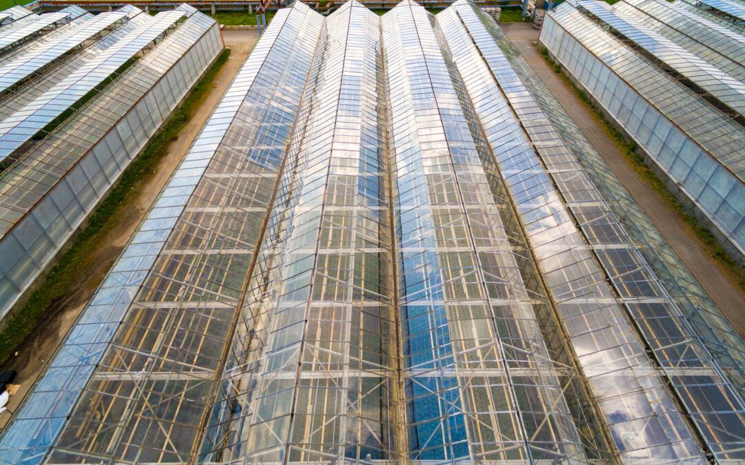 Energiesteuer-Senkung: Gartenbau fordert Entlastungen auch bei CO2-Bepreisung