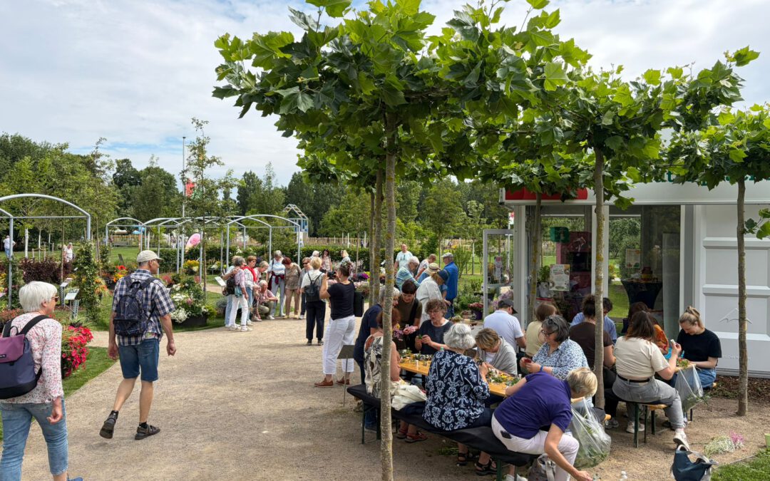 „Bergfest“ auf der LAGA – Landesgartenschau Neuss 2026 feiert Halbzeit