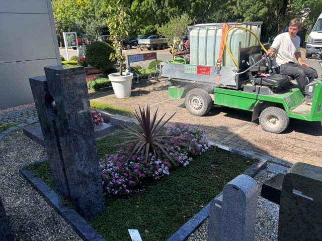Friedhofsgärtner trotzen der Trockenheit – worauf es bei der Grabpflege im Sommer ankommt